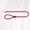 Laisse Cavo 1m - Plusieurs coloris – Image 3