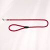 Laisse Cavo 1m - Plusieurs coloris