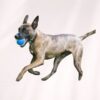 Kong 3 balles