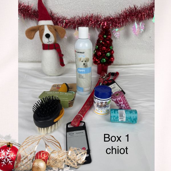 box chiot pour noel