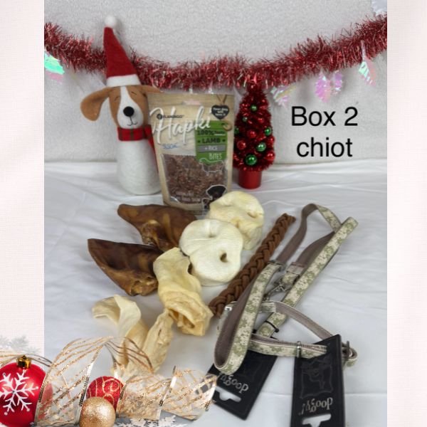 box chiot friandises