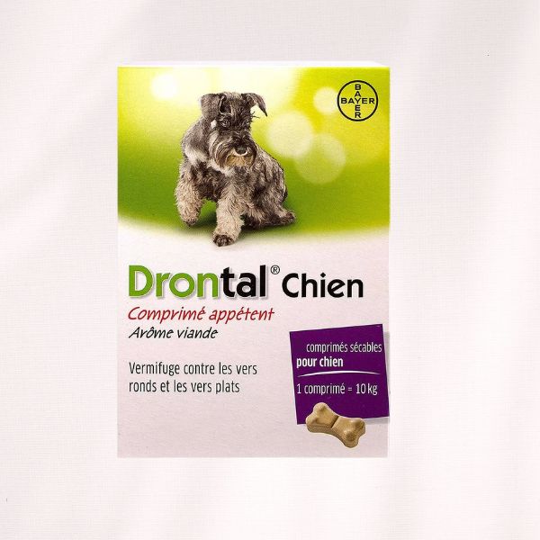 drontal vermifuge chien