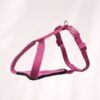 Harnais Trixie Dog Harness Premium Y - Taille S-M - Plusieurs coloris – Image 7