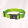 Collier Premium Nylon réglable - S - 25-40 cm - Plusieurs coloris - Trixie – Image 7