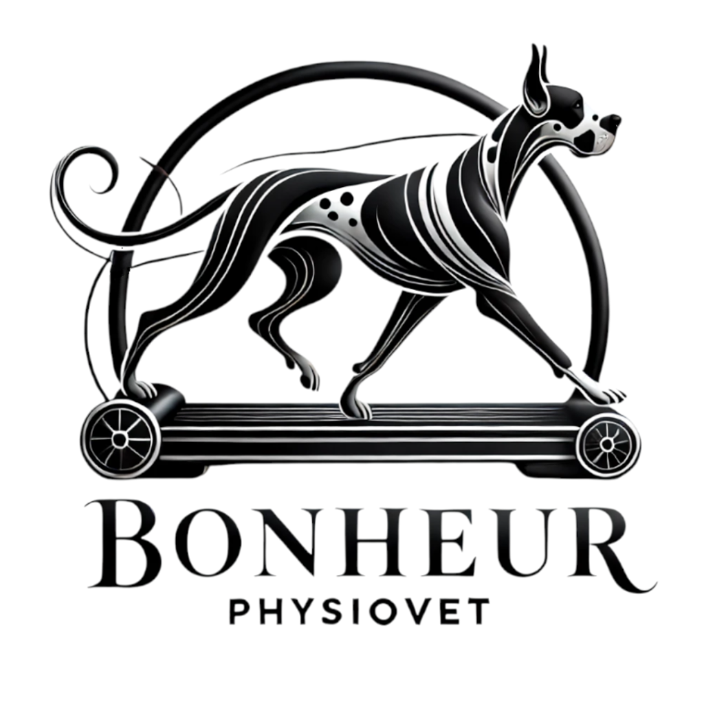 Bonheur Physiovet