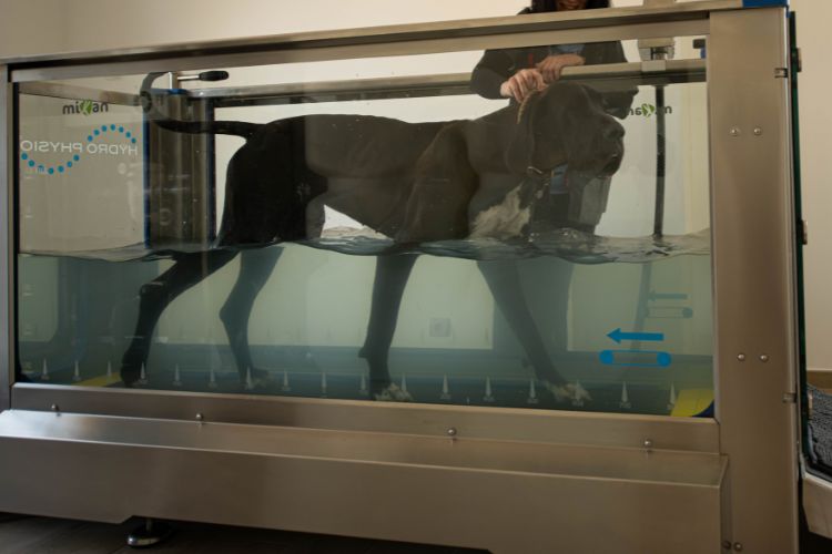 Cabinet de Physiothérapie