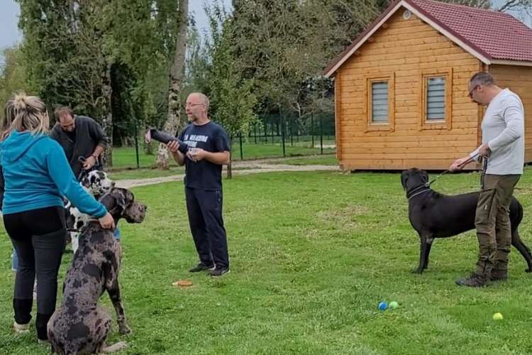 Education canine au Clos du Bonheur