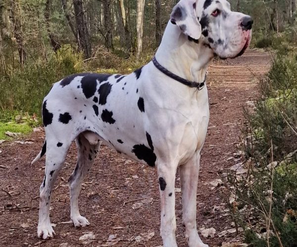 FB_IMG_1754826291469