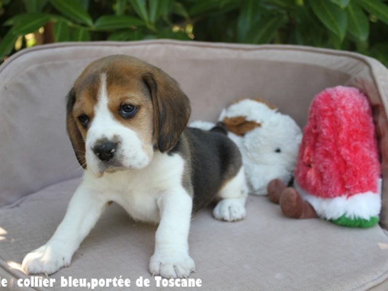 M BLEUIMG_8269