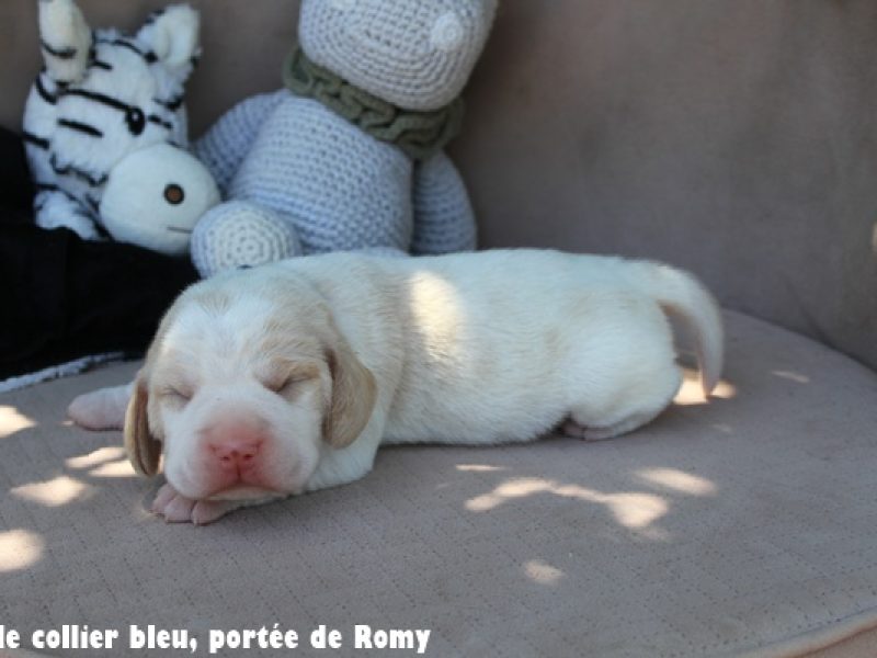 M bleuIMG_6710
