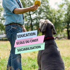 Education canine