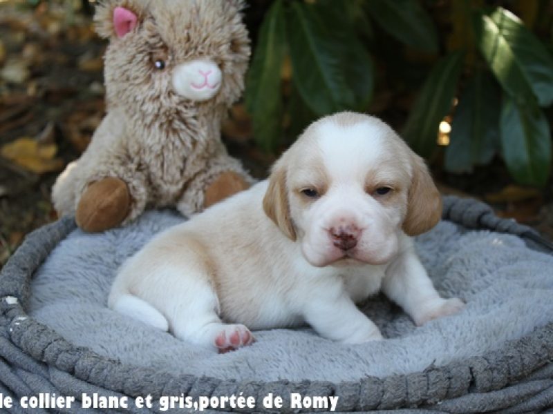 m blanc et noirIMG_7329