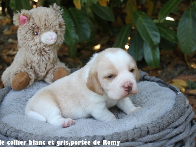 m blanc et noirIMG_7331