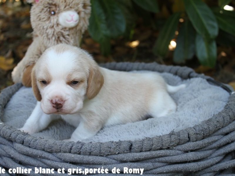 m blanc et noirIMG_7334