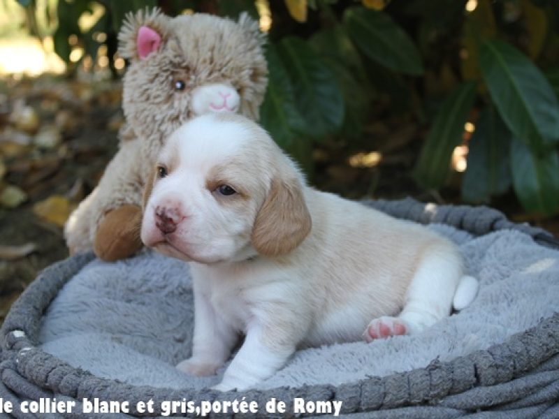 m blanc et noirIMG_7339