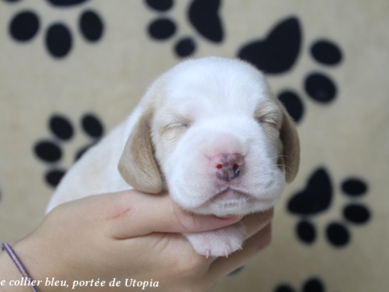 m bleuIMG_1477