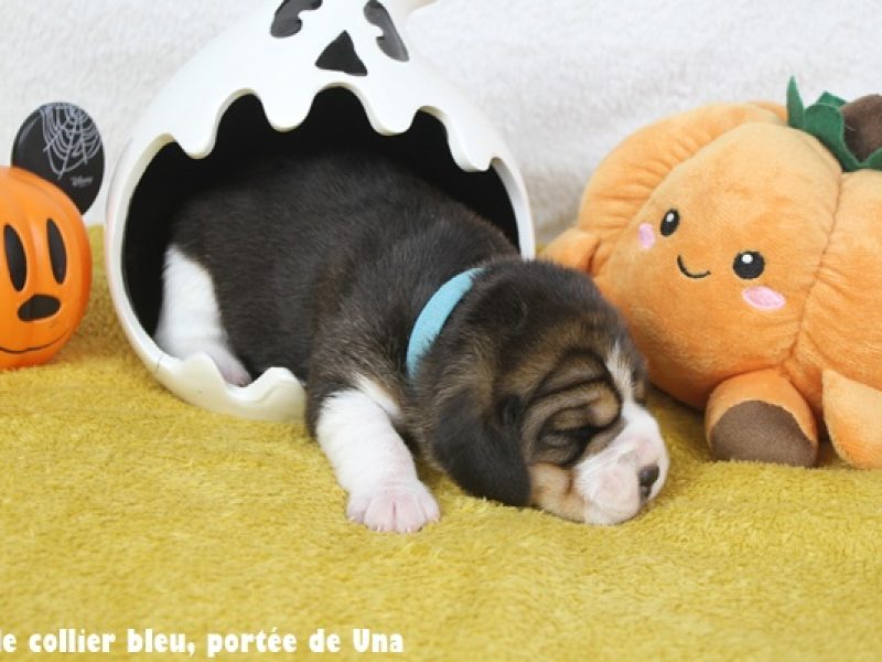 m bleuIMG_9985