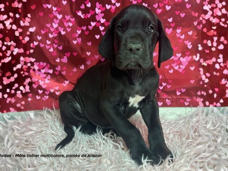 m-multicolore-alienor-04062026-5