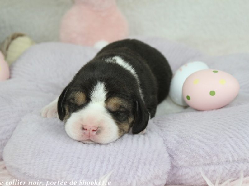 m noirIMG_5904
