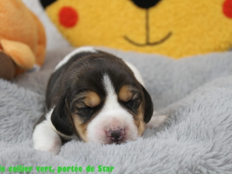 m vertIMG_9678