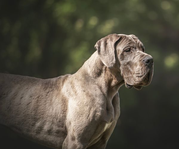 vera-des-iles-aux-falaises