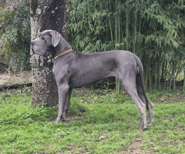 Vera des Iles aux Falaises